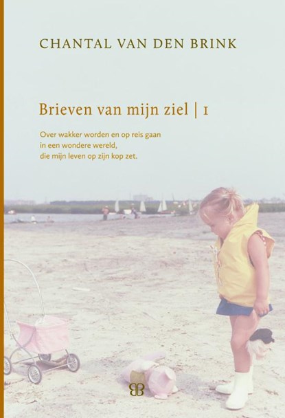 Brieven van mijn ziel 1993-1999, Chantal van den Brink - Gebonden - 9789081817202