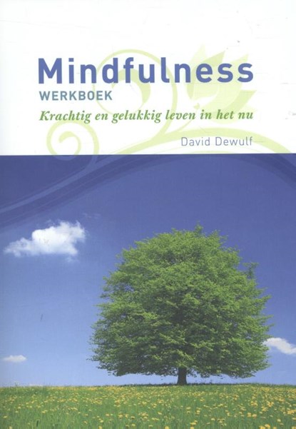 Mindfulness werkboek, David Dewulf - Paperback - 9789082428308