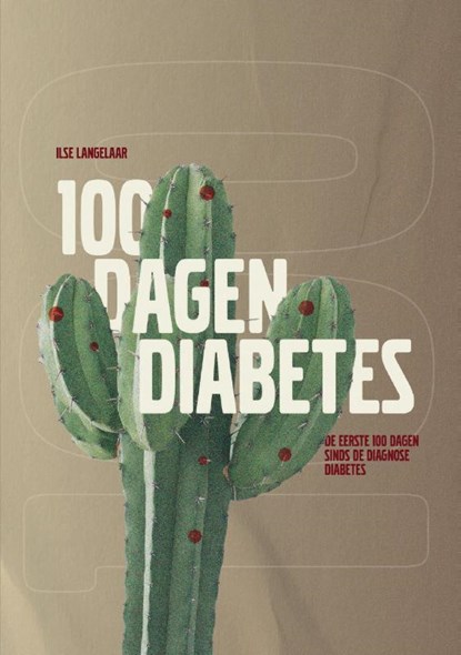 100 dagen diabetes, Ilse Langelaar - Paperback - 9789083228907