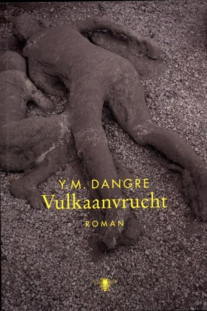 Vulkaanvrucht, Y.M. Dangre - Paperback - 9789085423621