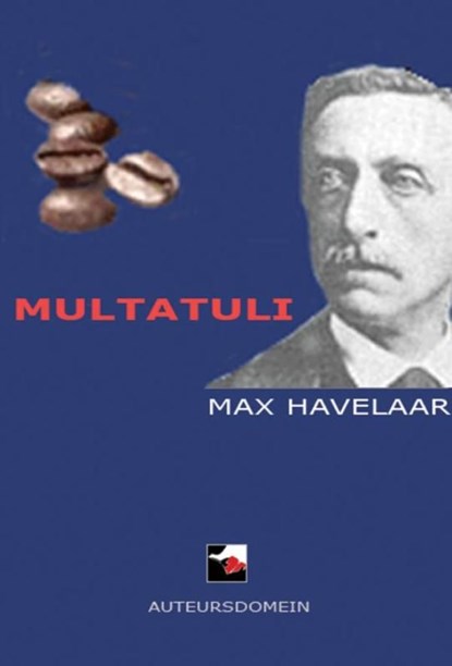 Max Havelaar, Multatuli - Ebook - 9789086410422