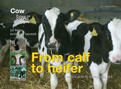 eBook from calf to heifer, Jan Hulsen ; Berrie Klein Swormink - Ebook - 9789087402488