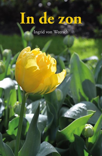 In de zon, Ingrid von Weersch - Paperback - 9789089549914