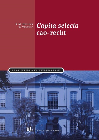 Capita selecta cao-recht, R.M. Beltzer ; E. Verhulp - Paperback - 9789089746993