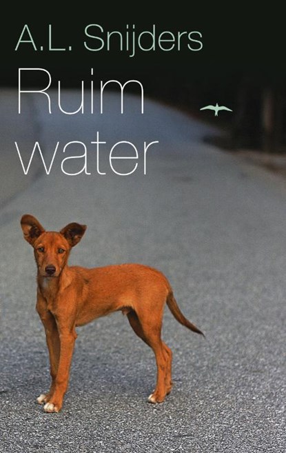 Ruim water, A.L. Snijders - Paperback - 9789400402713