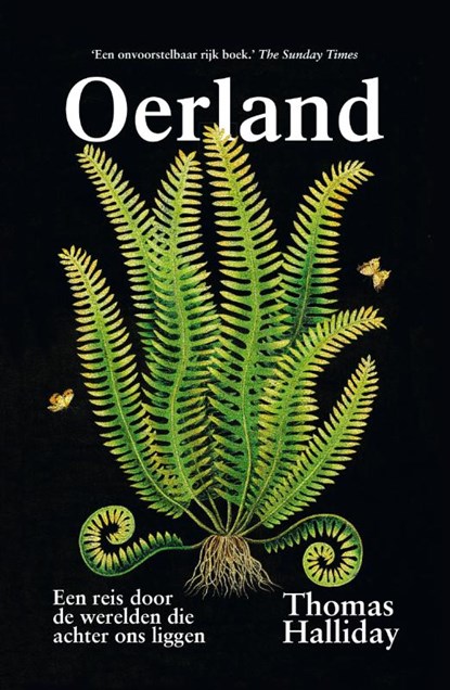 Oerland, Thomas Halliday - Paperback - 9789400405189