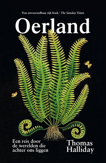 Oerland, Thomas Halliday - Ebook - 9789400409903