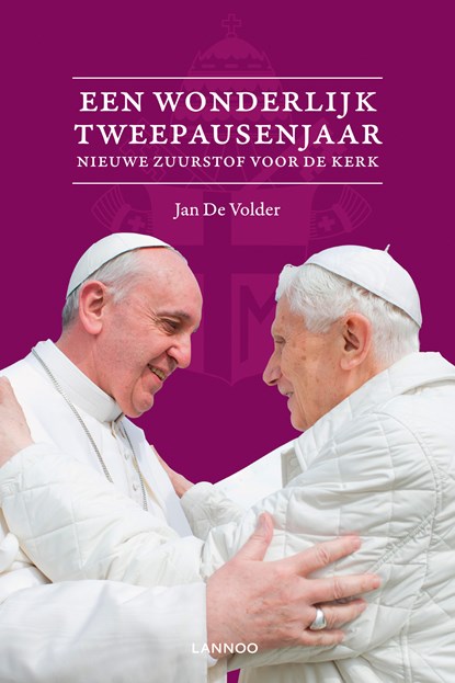Een wonderbaarlijk tweepausenjaar, Jan de Volder - Ebook - 9789401412575