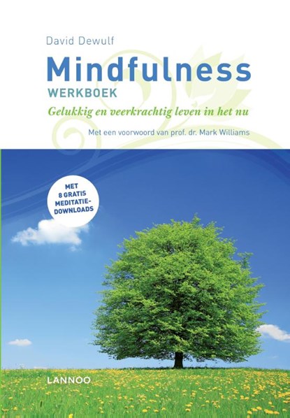 Mindfulness werkboek, David Dewulf - Paperback - 9789401451758
