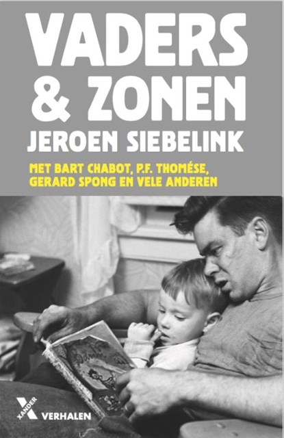 Vaders en zonen MP, Jeroen Siebelink - Paperback - 9789401610551