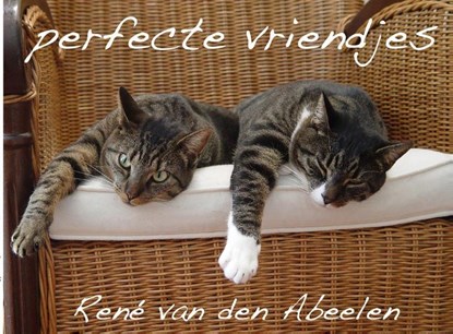perfecte vriendjes, René van den Abeelen - Paperback - 9789402121117