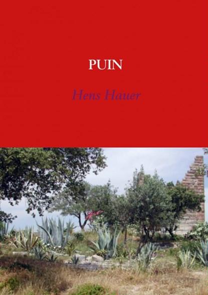 Puin, Hens Hauer - Paperback - 9789402121971