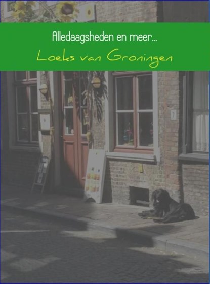 Alledaagsheden en meer..., Loeks van Groningen - Ebook - 9789402145533