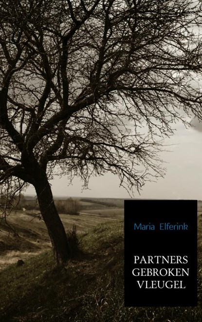 PARTNERS GEBROKEN VLEUGEL, Maria Elferink - Paperback - 9789402176179