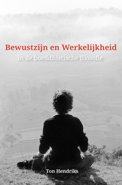 Bewustzijn en Werkelijkheid, Ton Hendriks - Paperback - 9789402186512
