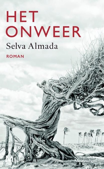 Het onweer, Selva Almada - Ebook - 9789402301946