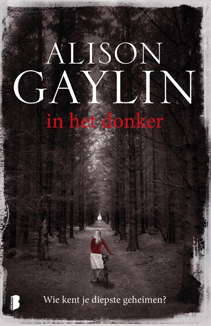 In het donker, Alison Gaylin - Ebook - 9789402302264