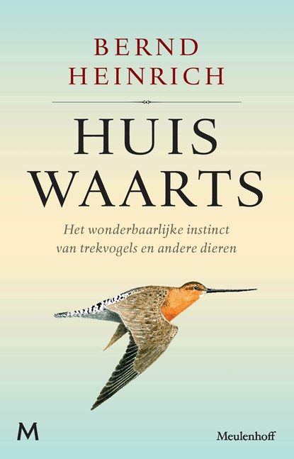 Huiswaarts, Bernd Heinrich - Ebook - 9789402304176