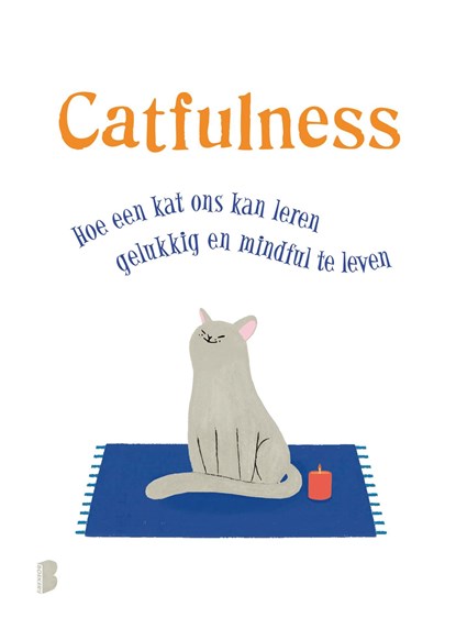 Catfulness, Paolo Valentino - Ebook - 9789402310108