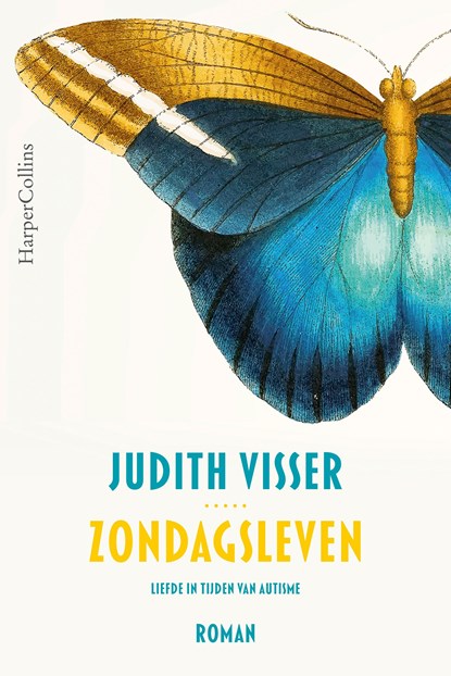 Zondagsleven, Judith Visser - Ebook - 9789402760309
