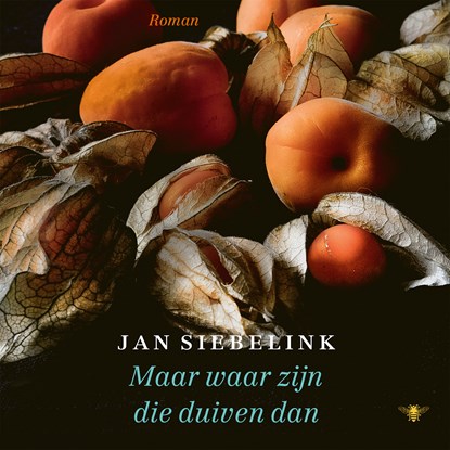 Maar waar zijn die duiven dan, Jan Siebelink - Luisterboek MP3 - 9789403101217