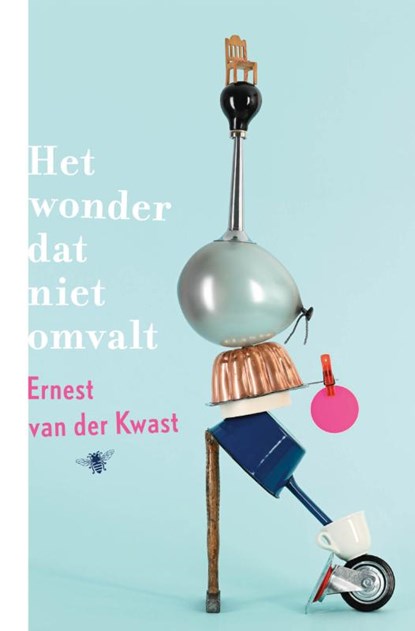 Het wonder dat niet omvalt, Ernest van der Kwast - Paperback - 9789403102825
