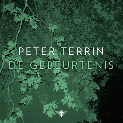 De gebeurtenis, Peter Terrin - Luisterboek MP3 - 9789403130064
