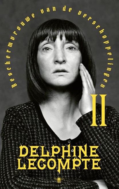 Beschermvrouwe van de verschoppelingen 2, Delphine Lecompte - Paperback - 9789403154916
