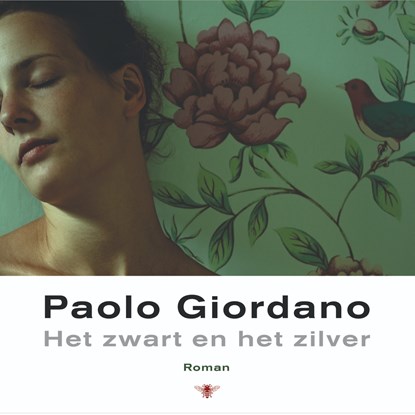 Het zwart en het zilver, Paolo Giordano - Luisterboek MP3 - 9789403168913