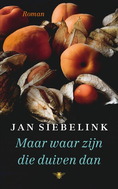 Maar waar zijn die duiven dan, Jan Siebelink - Ebook - 9789403183008