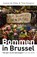 Bommen in Brussel, Joanie De Rijke ; Tine Gregoor - Paperback - 9789460019821
