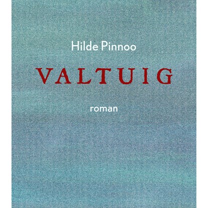 Valtuig, Hilde Pinnoo - Luisterboek MP3 - 9789460019968