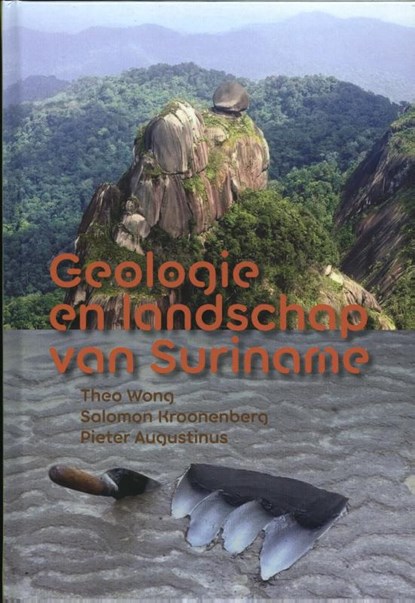 Geologie en landschap van Suriname, Theo Wong ; Salomon Kroonenberg ; Pieter Augustinus - Gebonden - 9789460224591