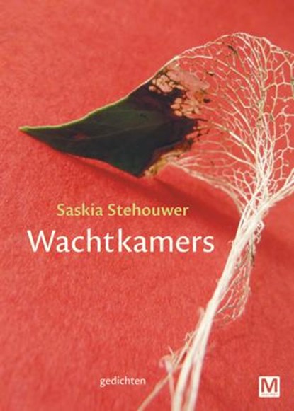 Wachtkamers, Saskia Stehouwer - Paperback - 9789460682216