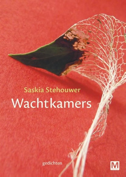 Wachtkamers, Saskia Stehouwer - Ebook - 9789460688829