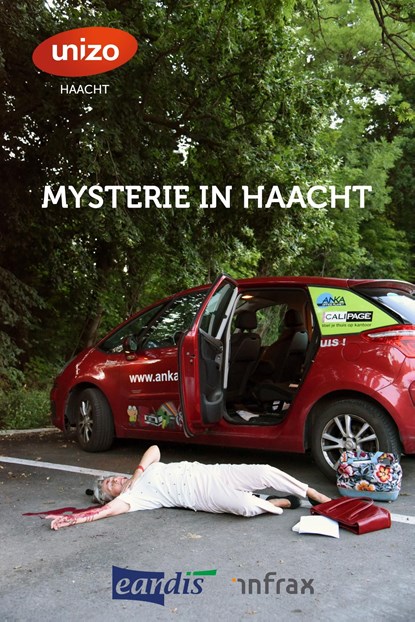 Mysterie in Haacht, Tom Bergs - Ebook - 9789460794414