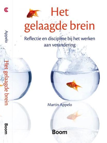 Het gelaagde brein, Martin Appelo - Paperback - 9789461053015