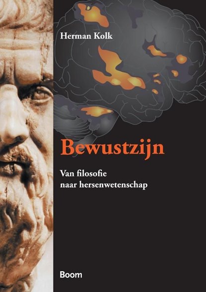 Bewustzijn, Herman Kolk - Ebook - 9789461270023
