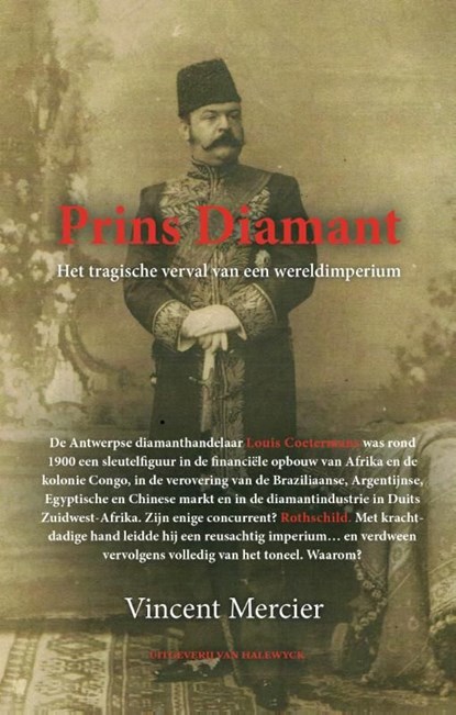 Prins Diamant, Vincent Mercier - Ebook - 9789461312402