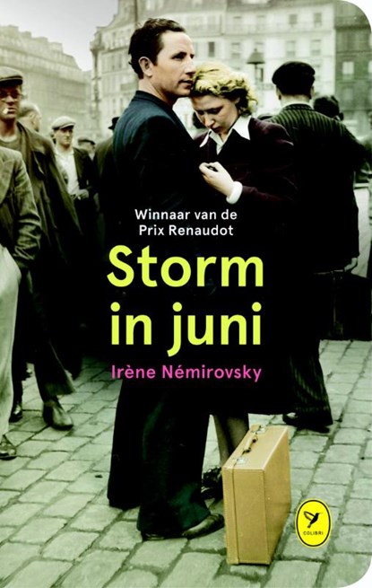 Storm in juni, Irene Nemirovsky - Gebonden - 9789462370401