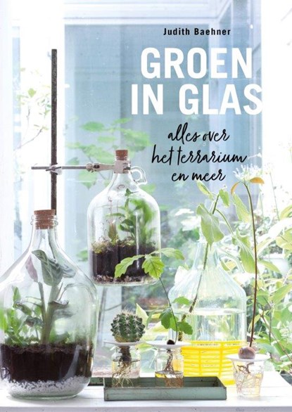 Groen in glas, Judith Baehner - Paperback - 9789462501928