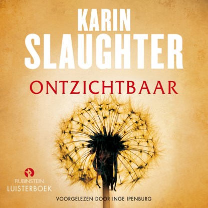 Onzichtbaar, Karin Slaughter - Luisterboek MP3 - 9789462531888