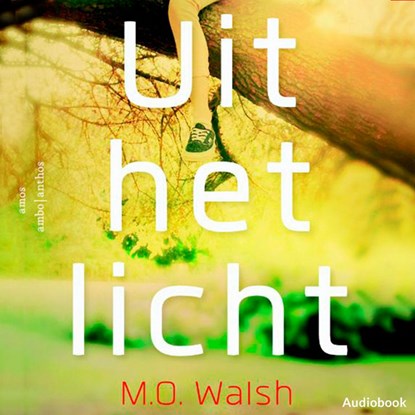 Uit het licht, M.O. Walsh - Luisterboek MP3 - 9789462533134
