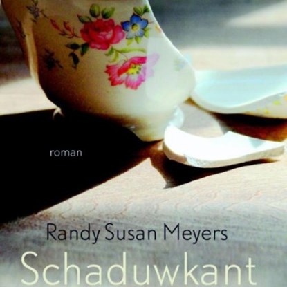 Schaduwkant, Randy Susan Meyers - Luisterboek MP3 - 9789462537293