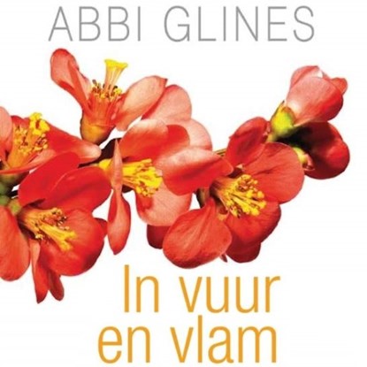 In vuur en vlam, Abbi Glines - Luisterboek MP3 - 9789462539327