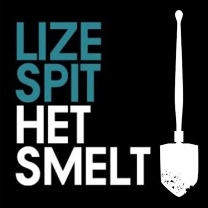Het smelt, Lize Spit - Luisterboek MP3 - 9789463631471