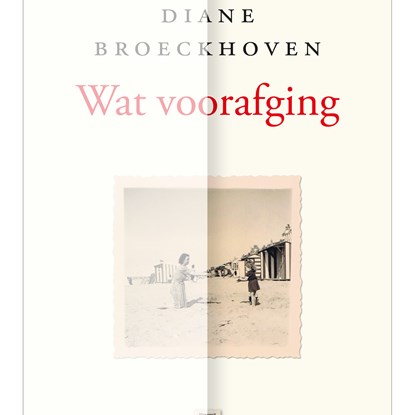Wat voorafging, Diane Broeckhoven - Luisterboek MP3 - 9789464340334