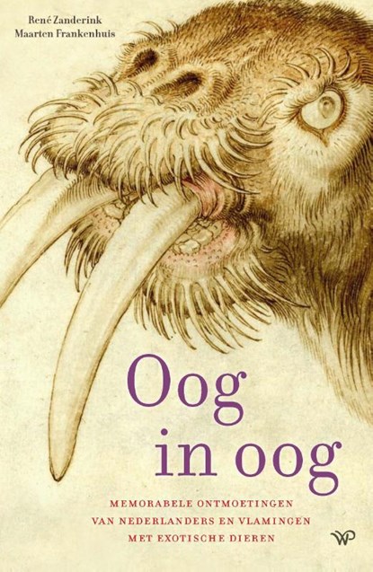 Oog in oog, René Zanderink ; Maarten Frankenhuis - Paperback - 9789464563535