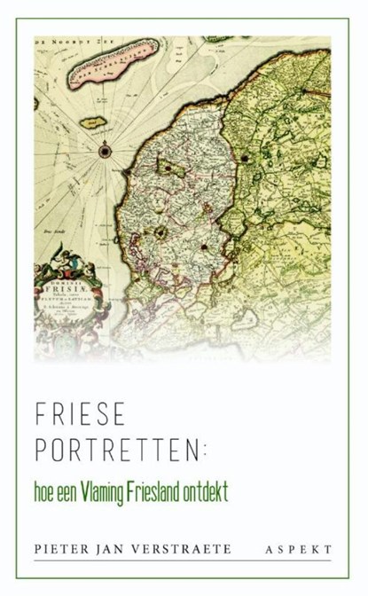 Friese portretten, Pieter Jan Verstraete - Ebook - 9789464621099