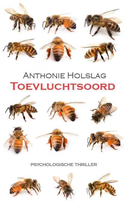 Toevluchtsoord, Anthonie Holslag - Paperback - 9789492099211